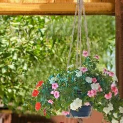 Soleil Set Of 4 Hanging Planters With Ring, For Outdoor And Indoor (2 Of 105 Cm And 2 Of 88 Cm) -Indoor Flower Pot 100162847 4