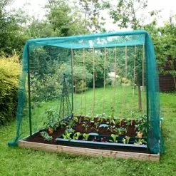 GARDENSKILL Walk In Fruit Cage (No Door) - 2m X 2m X 2m High -Indoor Flower Pot 12356870 3