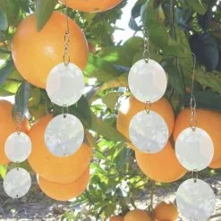 PrimeMatik - Reflective Discs Bird Repellents Bird Repeller Scarecrow 8-pack 10 PrimeMatik - Reflective Discs Bird Repellents Bird Repeller Scarecrow 8-pack -Indoor Flower Pot 16098003 4