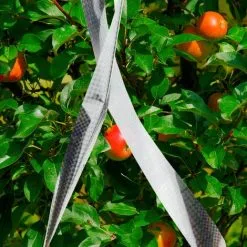 PrimeMatik - Holographic Reflective Tape Bird Repellent Scarecrow 45m -Indoor Flower Pot 16098005 3