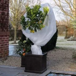 Winter Fleece Cover 30 G/m² White 1x10 M Nature -Indoor Flower Pot 32180375 3