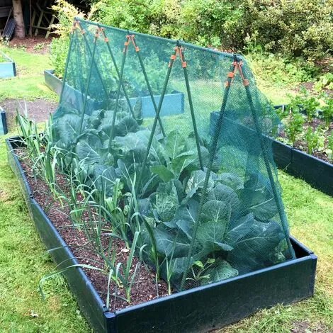 GARDENSKILL Super Cloche Brassica Cage With Butterfly Netting - 2.4m X 0.75m X 1m High 3 GARDENSKILL Super Cloche Brassica Cage With Butterfly Netting - 2.4m X 0.75m X 1m High