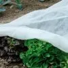 GARDENSKILL Frost Buster Plant & Crop Fleece Sheet - 6m Long X 2m Wide 1 GARDENSKILL Frost Buster Plant & Crop Fleece Sheet - 6m Long X 2m Wide -Indoor Flower Pot 36866060 1