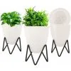 LangRay 3 Pcs Flower Pots, Flower Pots With Stands, Plant Holders Plant Pots, Plants Plant Pot For Indoor, Outdoor, Balcony, Garden (Small) 2 LangRay 3 Pcs Flower Pots, Flower Pots With Stands, Plant Holders Plant Pots, Plants Plant Pot For Indoor, Outdoor, Balcony, Garden (Small) -Indoor Flower Pot 37252728 1