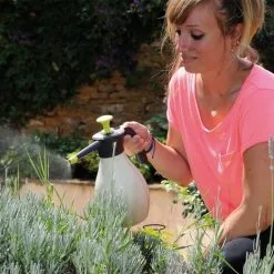 Pressure Sprayer Pure 2 L Hozelock -Indoor Flower Pot 3802825 5