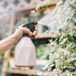 Devenirriche Plant Sprayer Water Bottle Spray Bottle Plastic Spray Bottle Pressurized Bottle Spray Nozzle Canned Plastic -Indoor Flower Pot 41446393 5