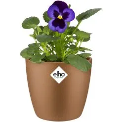 Elho Flower Pot Brussels Round Planter Plant Window Box Indoor Outdoor Plastic Samtgold/0,8 Liter (de)