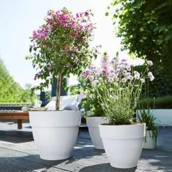 Elho Flowerpot Cachepot Garden Planter Box Outdoor Plant Pot Modern Design Plastic White Round Square Rectangular Rund/3,2 Liter (de) -Indoor Flower Pot 50317722 3