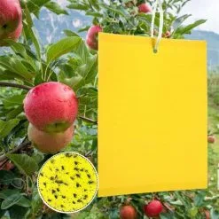 LangRay Insect Traps, 50 Double Sided Sticky Paper, Yellow Sticky Papers For White Fly Sheet For Anti-Insect Anti White Fly Leaf, Moths Garden Plant Flower Fruit