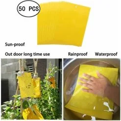 LangRay Insect Traps, 50 Double Sided Sticky Paper, Yellow Sticky Papers For White Fly Sheet For Anti-Insect Anti White Fly Leaf, Moths Garden Plant Flower Fruit 10 LangRay Insect Traps, 50 Double Sided Sticky Paper, Yellow Sticky Papers For White Fly Sheet For Anti-Insect Anti White Fly Leaf, Moths Garden Plant Flower Fruit -Indoor Flower Pot 51795547 4