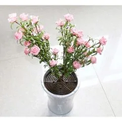 LangRay Plant Protection Pot, Brown, 52cm Diameter -Indoor Flower Pot 51796873 4