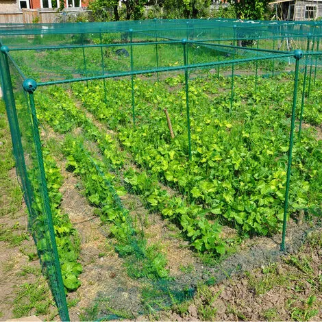 GARDENSKILL Build-a-Cage Fruit & Veg Cage With Bird Net - 1m X 1m X 1.25m High 4 GARDENSKILL Build-a-Cage Fruit & Veg Cage With Bird Net - 1m X 1m X 1.25m High - Image 2