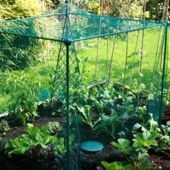 GARDENSKILL Build-a-Cage Fruit & Veg Cage With Bird Net - 1m X 1m X 1.25m High 9 GARDENSKILL Build-a-Cage Fruit & Veg Cage With Bird Net - 1m X 1m X 1.25m High -Indoor Flower Pot 51942697 3