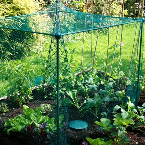 GARDENSKILL Build-a-Cage Fruit & Veg Cage With Bird Net - 1m X 1m X 1.25m High 5 GARDENSKILL Build-a-Cage Fruit & Veg Cage With Bird Net - 1m X 1m X 1.25m High - Image 3