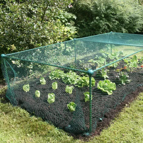 GARDENSKILL Build-a-Cage Fruit & Veg Cage Frame Only (No Net) - 1.25m X 1.25m X 0.625m High 3 GARDENSKILL Build-a-Cage Fruit & Veg Cage Frame Only (No Net) - 1.25m X 1.25m X 0.625m High