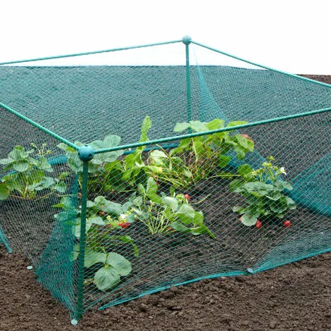 GARDENSKILL Build-a-Cage Fruit & Veg Cage Frame Only (No Net) - 1.25m X 1.25m X 0.625m High 4 GARDENSKILL Build-a-Cage Fruit & Veg Cage Frame Only (No Net) - 1.25m X 1.25m X 0.625m High - Image 2