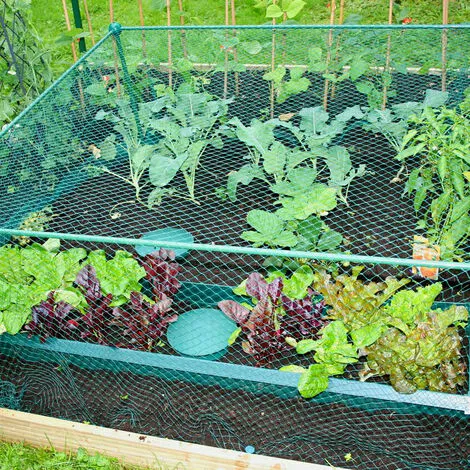 GARDENSKILL Build-a-Cage Fruit & Veg Cage Frame Only (No Net) - 1.25m X 1.25m X 0.625m High 6 GARDENSKILL Build-a-Cage Fruit & Veg Cage Frame Only (No Net) - 1.25m X 1.25m X 0.625m High - Image 4