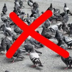 Relaxdays Crow Bird Repellent, Scarecrow Decoration, Flying Decoy Pest Control Prop, Black -Indoor Flower Pot 52226714 5