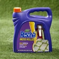 Resolva Moss Killer Kills Moss & Algae Fast Ready To Use For Lawn And Garden, 3L -Indoor Flower Pot 53314659 4