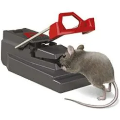 Deadfast Power Kill Mouse Trap Rodent Control Indoor & Outdoor Twin 2 Pack -Indoor Flower Pot 53314682 4