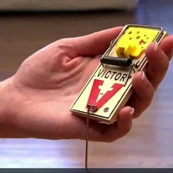 Deadfast Easy Set Rat Trap Rodent Control Single Pack -Indoor Flower Pot 53314683 4