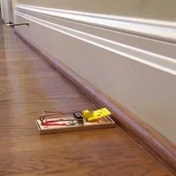 Deadfast Easy Set Rat Trap Rodent Control Single Pack -Indoor Flower Pot 53314683 5