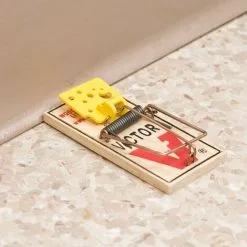 Deadfast Easy Set Mouse Trap Rodent Control Twin 2 Pack -Indoor Flower Pot 53314684 4