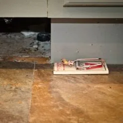 Deadfast Easy Set Mouse Trap Rodent Control Twin 2 Pack -Indoor Flower Pot 53314684 5