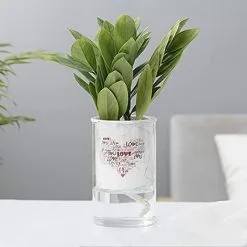 ECHOO Self-Watering Flowerpot - Ceramic - Double Layer - Creative - For Indoor And Outdoor, C -Indoor Flower Pot 58413858 4