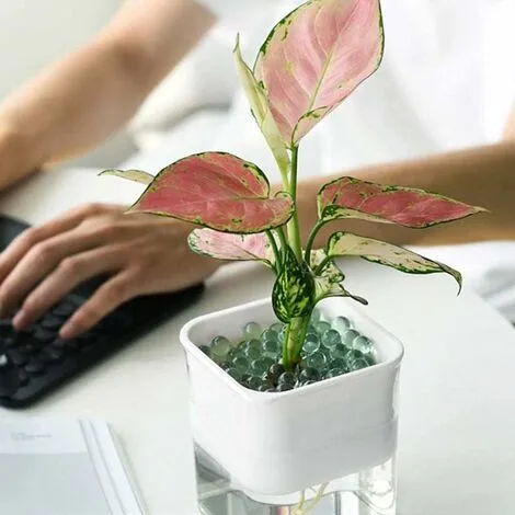 ECHOO Set Of 3 Self-Watering Plastic Flower Pots With Absorbent Cotton Thread For Indoor And Outdoor (3 X White) 5 ECHOO Set Of 3 Self-Watering Plastic Flower Pots With Absorbent Cotton Thread For Indoor And Outdoor (3 X White) - Image 3