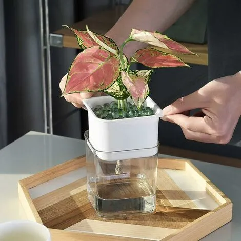 ECHOO 2-layer Flowerpot With Watered Flower Tank, Convenient For Watering The House 6 ECHOO 2-layer Flowerpot With Watered Flower Tank, Convenient For Watering The House - Image 4