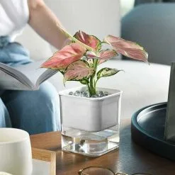 ECHOO 2-layer Flowerpot With Watered Flower Tank, Convenient For Watering The House 11 ECHOO 2-layer Flowerpot With Watered Flower Tank, Convenient For Watering The House -Indoor Flower Pot 58415496 5