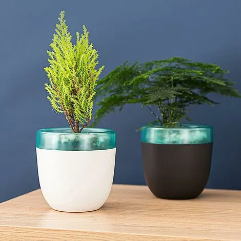 ECHOO Set Of 2 Self-Watering Plastic Flower Pots For Cacti, Bonsai, Succulents, Black 5 ECHOO Set Of 2 Self-Watering Plastic Flower Pots For Cacti, Bonsai, Succulents, Black - Image 3