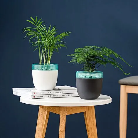 ECHOO Set Of 2 Self-Watering Plastic Flower Pots For Cacti, Bonsai, Succulents, Black 6 ECHOO Set Of 2 Self-Watering Plastic Flower Pots For Cacti, Bonsai, Succulents, Black - Image 4