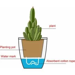 ECHOO Set Of 2 Self-Watering Plastic Flower Pots For Cacti, Bonsai, Succulents, White -Indoor Flower Pot 58424130 5