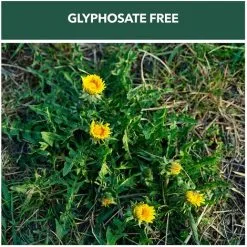 Enviro Works - Weed Gone - 2.5L And 5L Refill - Fast Acting Weedkiller - Long Hose Trigger - (Ready To Use) See Results Within 24 Hours : Amazon.co.uk: Garden & Outdoors -Indoor Flower Pot 58526552 5