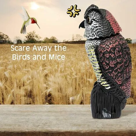 Tinor 38cm Bird Scarers For Gardens, Owl Decoy With Rotating Head, Realistic Garden Owl Decoy To Scare Birds Away 4 Tinor 38cm Bird Scarers For Gardens, Owl Decoy With Rotating Head, Realistic Garden Owl Decoy To Scare Birds Away - Image 2