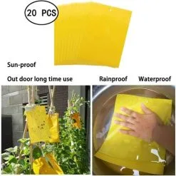 Devenirriche 20 Pcs Yellow Double Sided Fly Trap, Double Sided Yellow Traps For Flying Insects - Greenhouse And Outside, Aphids, Fungus Gnats, Mosquitoes, Aphids, Whiteflies, Flies.(15x20) -Indoor Flower Pot 66990850 4