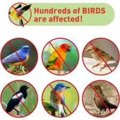 MONLY 45M Anti Pigeon Bird Repellent Tape Double Sided Anti Bird Repellent Tape Shiny Holographic Bird Repellent Tape For Scaring Birds Bird Scarer Birds -Indoor Flower Pot 68262872 5