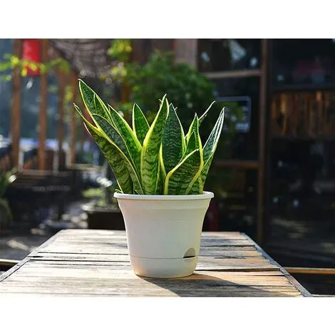 DENUOTOP Flower Pots 20CM Self-Watering Flower Pot, Long-Term Plant Pot For Water Storage, Deep Reservoir, Planter Pot For Indoor Plants Home Decoration - Beige, Set Of 4 5 DENUOTOP Flower Pots 20CM Self-Watering Flower Pot, Long-Term Plant Pot For Water Storage, Deep Reservoir, Planter Pot For Indoor Plants Home Decoration - Beige, Set Of 4 - Image 3