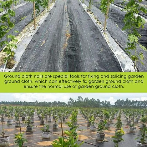 DENUOTOP Mulch Cloth Set Of 60 Ground Stakes Anchor Ground Stake With Barb Extra Strong Black Plastic Landscape Weed Cloth For Weed Cloth Securing - 12CM 6 DENUOTOP Mulch Cloth Set Of 60 Ground Stakes Anchor Ground Stake With Barb Extra Strong Black Plastic Landscape Weed Cloth For Weed Cloth Securing - 12CM - Image 4