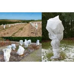 MEZHENG 2 Pack Plant Overwintering Cover, Plant Overwintering Cover, Plant Protection, 100 X 80cm Overwintering Cover, Plant Protection Cover Reusable Overwintering Cover 11 MEZHENG 2 Pack Plant Overwintering Cover, Plant Overwintering Cover, Plant Protection, 100 X 80cm Overwintering Cover, Plant Protection Cover Reusable Overwintering Cover -Indoor Flower Pot 72508100 5