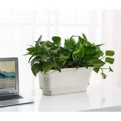 EINEMGELD 40CM Self-Watering Plant Pot Rectangular Plastic Planters, Modern Decorative Flower Pot For All Plants, Flowers, Herbs - Beige, Set Of 2 -Indoor Flower Pot 75324468 3