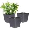 EINEMGELD 13.5CM Self Watering Plastic Flower Pot With Water Level Indicator - Set Of 3 Grey, Pot For Succulent Cactus Herb Planter Container, Modern Decor For Home Office 2 EINEMGELD 13.5CM Self Watering Plastic Flower Pot With Water Level Indicator - Set Of 3 Grey, Pot For Succulent Cactus Herb Planter Container, Modern Decor For Home Office -Indoor Flower Pot 75324834 1