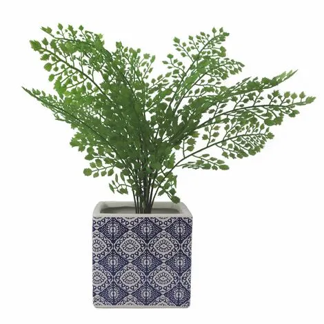 Leaf 12cm Ceramic Cube Planter With Decorative Print Blue Eye 6 Leaf 12cm Ceramic Cube Planter With Decorative Print Blue Eye - Image 4