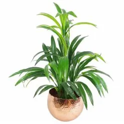 Leaf Large Metal Planter 22 X 17cm Hammered Copper Plated - Curvy Edge 9 Leaf Large Metal Planter 22 X 17cm Hammered Copper Plated - Curvy Edge -Indoor Flower Pot 77246043 3