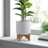 Leaf White Ribbed Ceramic Plant Pot With Bamboo Stand 17 X 17 X 21cm 1 Leaf White Ribbed Ceramic Plant Pot With Bamboo Stand 17 X 17 X 21cm -Indoor Flower Pot 77246088 1