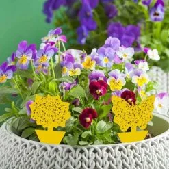 NAXUNNN 48Pcs Sticky Insect Trap Stickers Double Sided Glue Waterproof Yellow Anti Gnat Plants Fly Catcher Stickers For Garden Plant Flower Fruit -Indoor Flower Pot 77807075 4