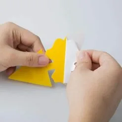 NAXUNNN 12pcs Sticky Fruit Fly Traps And Mushroom Trap Killer, Sunflower Butterfly Pattern Decal Sticker -Indoor Flower Pot 78043078 3