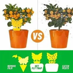 Muff 50Pcs Plug-in Fly Trap Insect Trap Sticker Yellow Garden Insect Catcher Anti Fly Indoor Against Vermin Anti Yellow Nematodes Fly Trap Against Gnats -Indoor Flower Pot 79468416 3